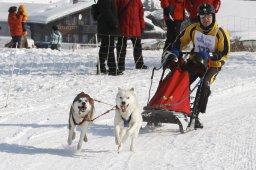 Lenk 2012 SM